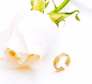 Anillo Plástico de Mediterráneo